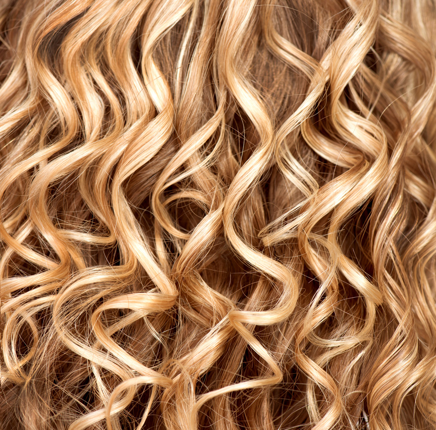 Wavy Curly Blonde Hair Closeup. Texture of Permed Hair